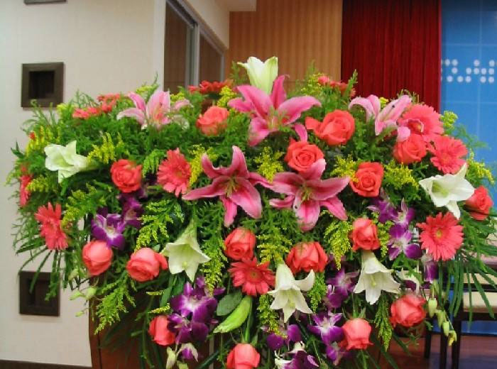 董事长致辞 董事长致辞
